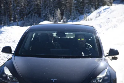 DSC_4975 (Large).JPG